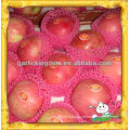 Red apple/ Price for fresh apple/Cheap apple fruit